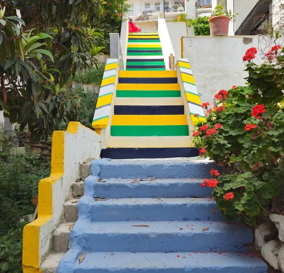 Terrace Hotel كوشاداسيه تركيا